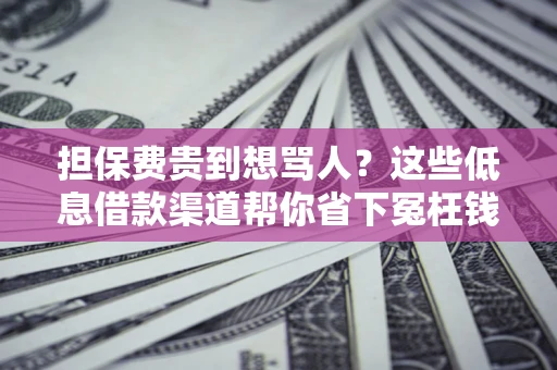 济南担保费贵到想骂人？这些低息借款渠道帮你省下冤枉钱